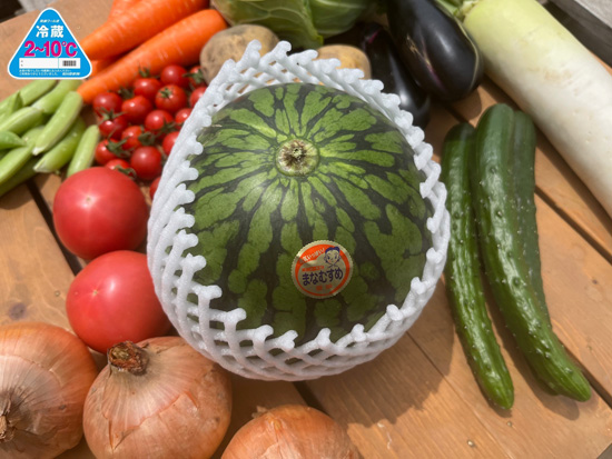 【スイカ付き】訳あり野菜11種セット※クール便※(本州と四国の方)