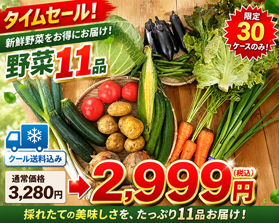 【タイムセール】6/27訳アリ野菜2999円！（本州と四国の方）※送料込み※