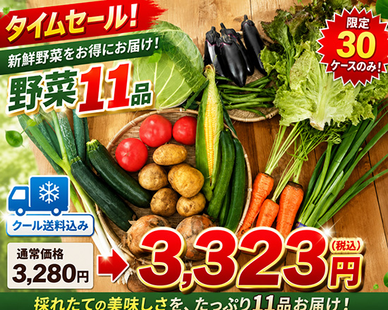 【タイムセール】6/27訳アリ野菜2999円！（北海道と九州の方）※送料込み※