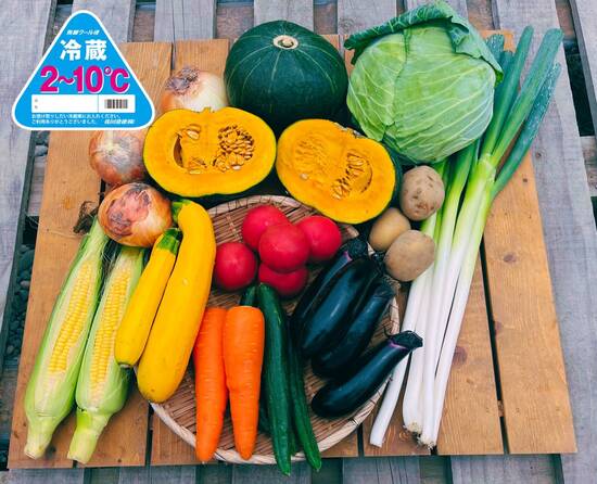 【かぼちゃプレゼント付き】訳あり野菜11種セット（本州と四国の方）※クール送料込み※