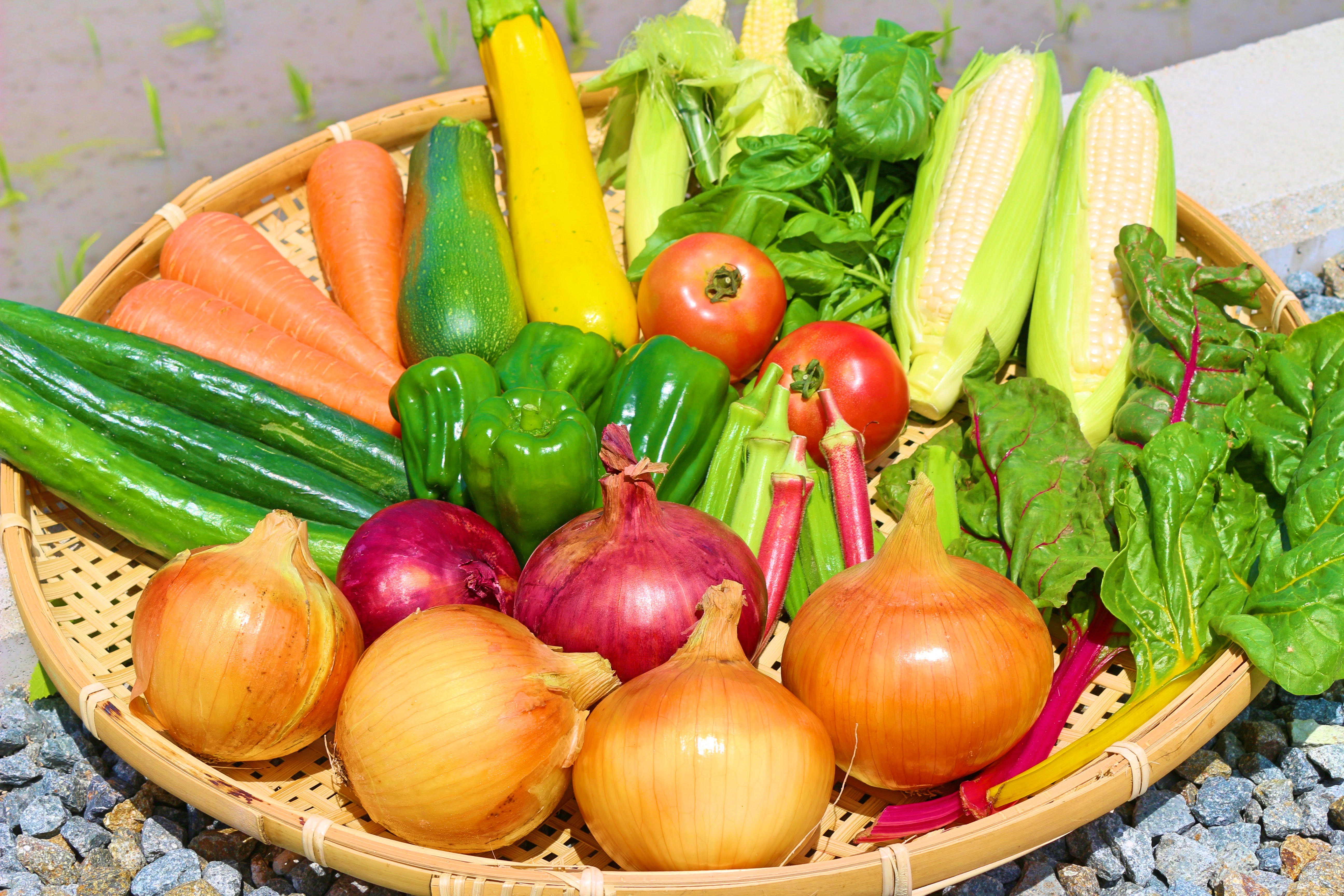 淡路島産☆夏の野菜セット☆詰め合わせ☆80サイズ☆クール便