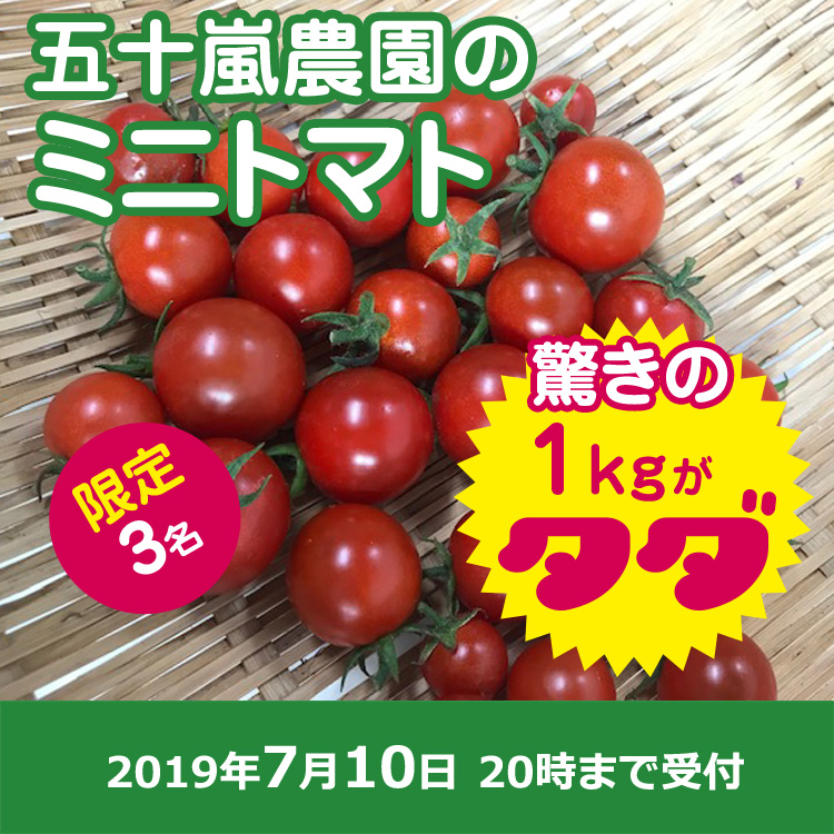 【五十嵐農園様ご提供】完熟身ミニトマト