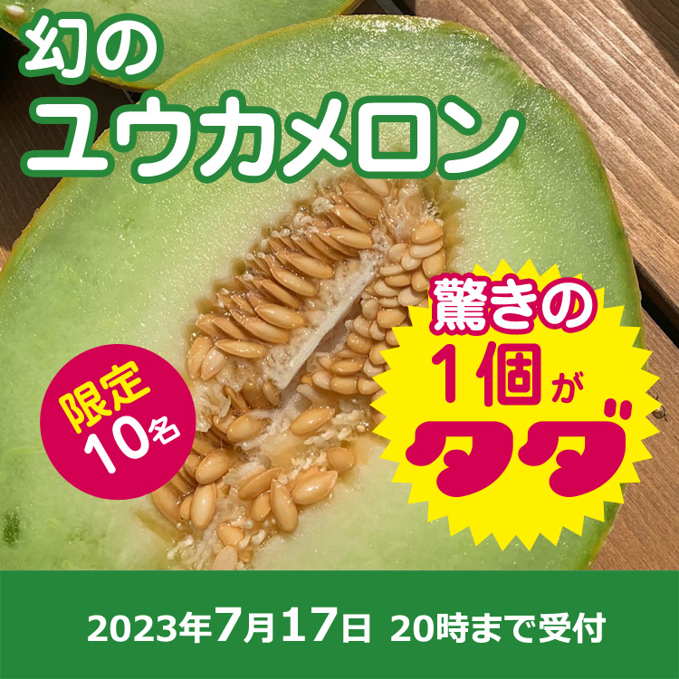 【プレゼント】幻のユウカメロン