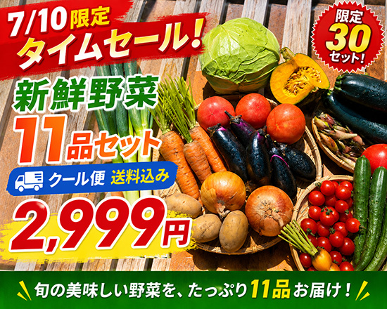 【タイムセール】7/10訳アリ野菜2999円！（本州と四国の方）※送料込み※