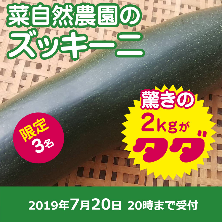 【菜自然農園ご提供】大きくなりすぎたズッキーニ2kg
