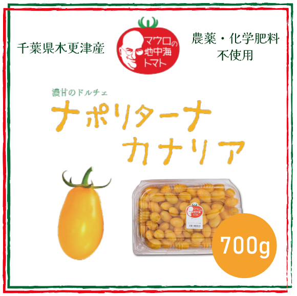 【ナポリターナカナリア！！　とまと　ミニトマト　プチトマト 　カラートマト】　産地直送　700g　千葉県木更津産　農家直送