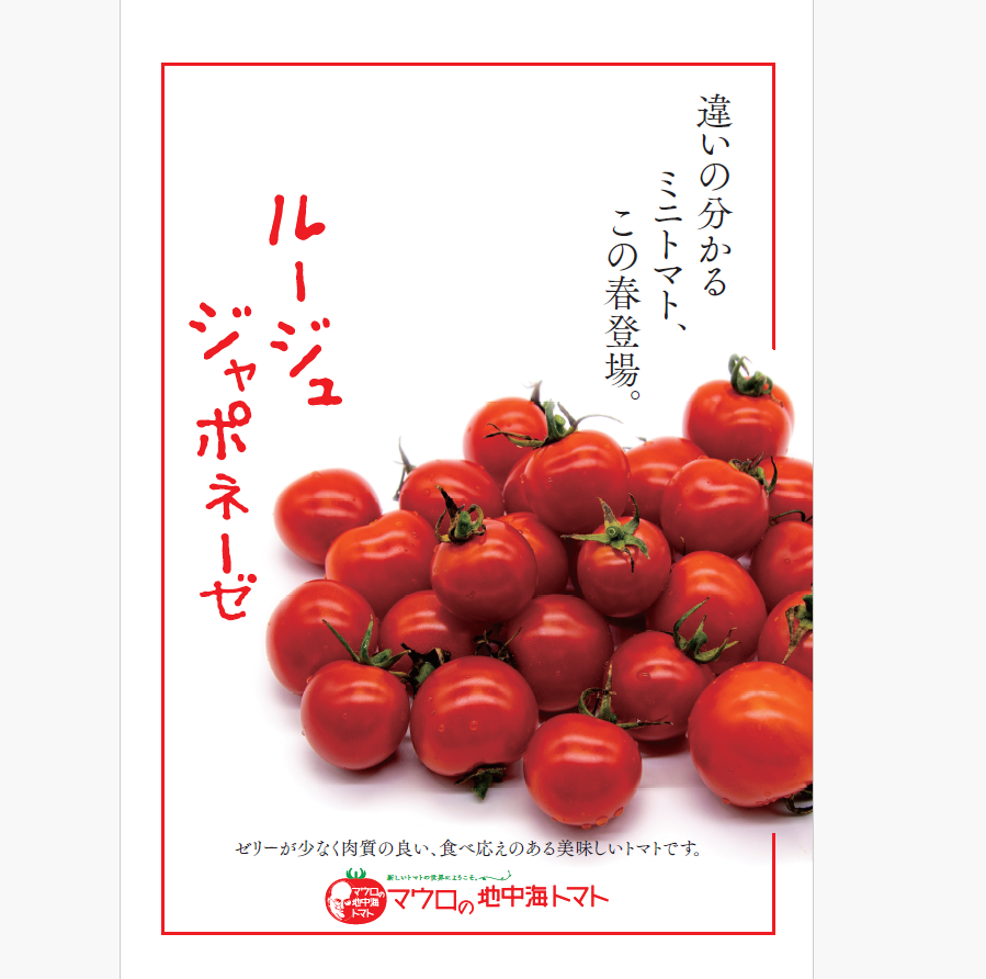 【ルージュ ジャポネーゼ！！　トマト　ミニトマト　プチトマト】　産地直送　千葉県木更津産　700g　農家直送