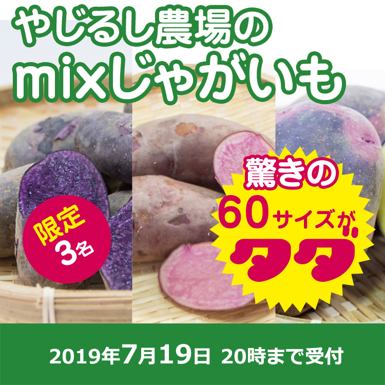 【やじるし農場ご提供】mixじゃがいも60サイズ