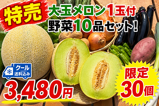 【特売メロン付き】訳アリ野菜10種（本州と四国の方）※クール送料込み※