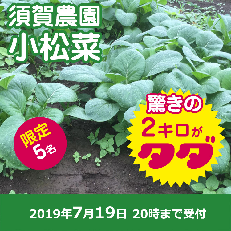 【須賀 農園ご提供】小松菜2キロ