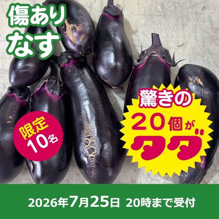 【プレゼント】規格外ナス