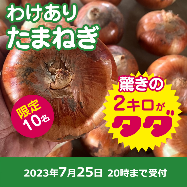 【プレゼント】訳ありたまねぎ2キロ