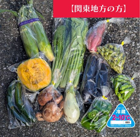 【関東地方へ配送の方】【80サイズが圧倒的お買い得！！箱いっぱい！新鮮房総旬の野菜箱いっぱいセット　旬の房総野菜を80サイズ弊社専用資材に詰め合わせ】産地直送　産直