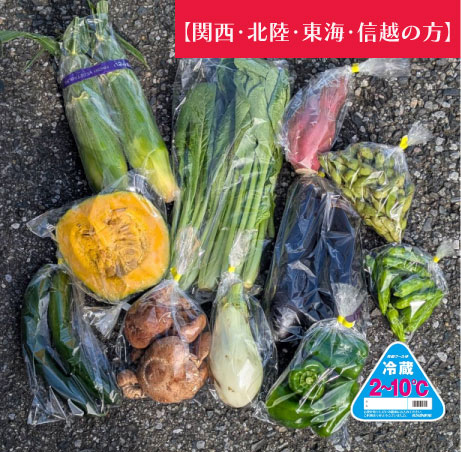 【関西・北陸・東海・信越へ配送の方】【80サイズが圧倒的お買い得!!箱いっぱい!新鮮房総旬の野菜箱いっぱいセット 旬の房総野菜を80サイズ弊社専用資材に詰め合わせ】産地直送 産直
