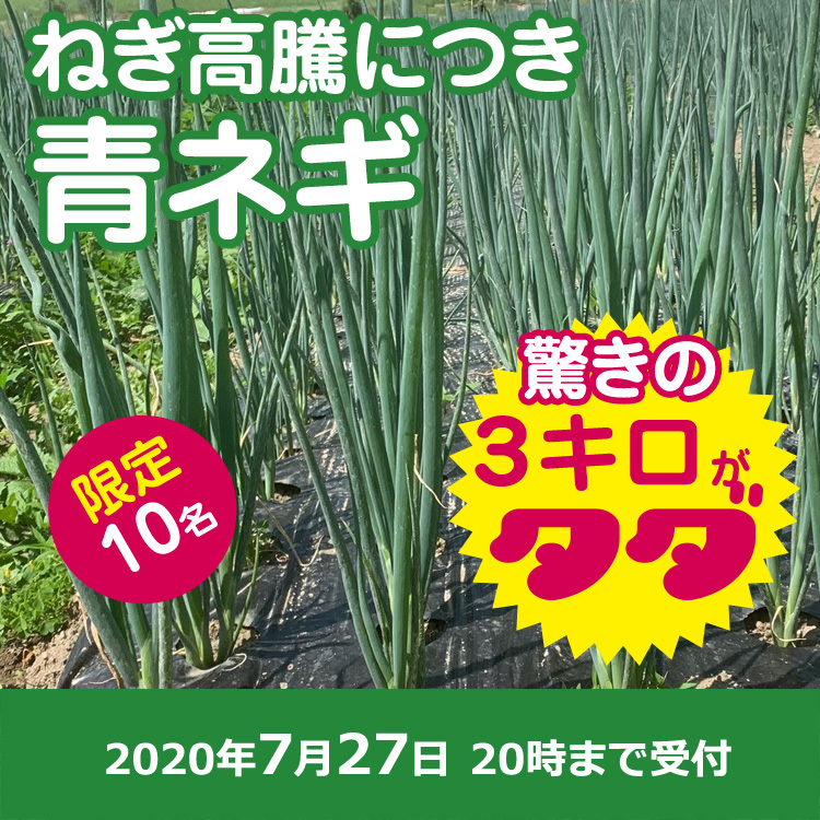 【プレゼント】青ネギ3キロプレゼント