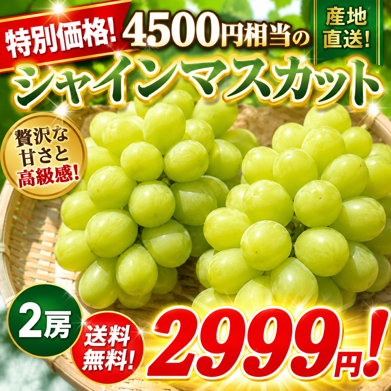 【予約】シャインマスカット2房　2999円！（本州と四国の方）※送料込み※