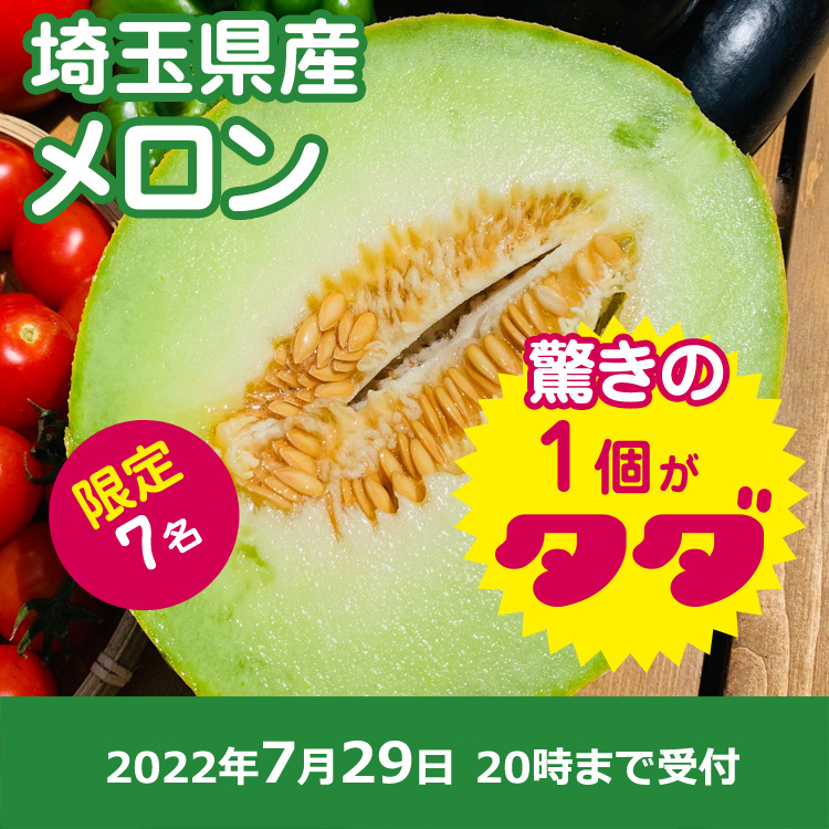 【プレゼント】メロン