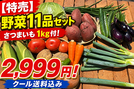 【特売】7/25さつまいも1キロ付き野菜2999円！（本州と四国の方）※送料込み※
