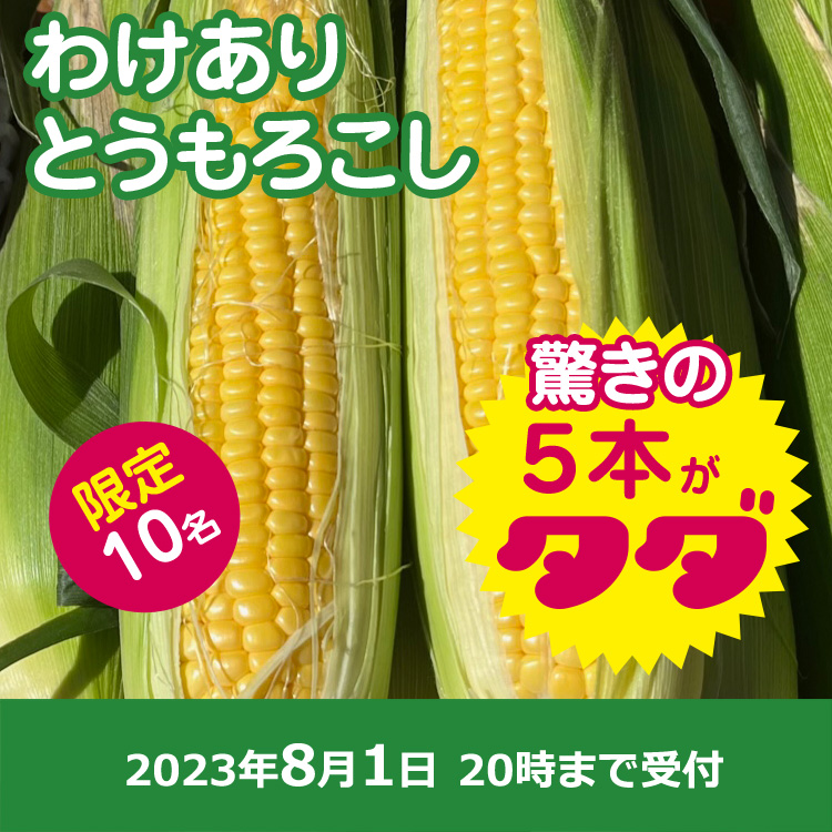 【プレゼント】甘~い!とうもろし