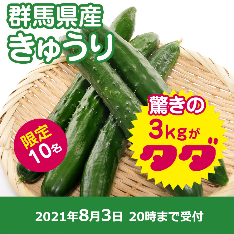 【プレゼント】きゅうり3キロ