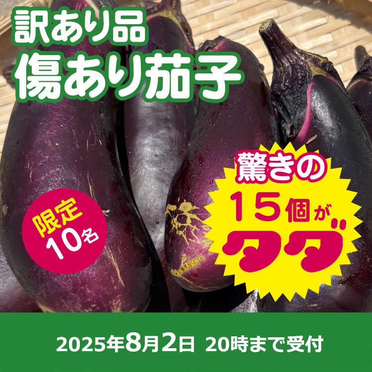【プレゼント】訳ありナス15本