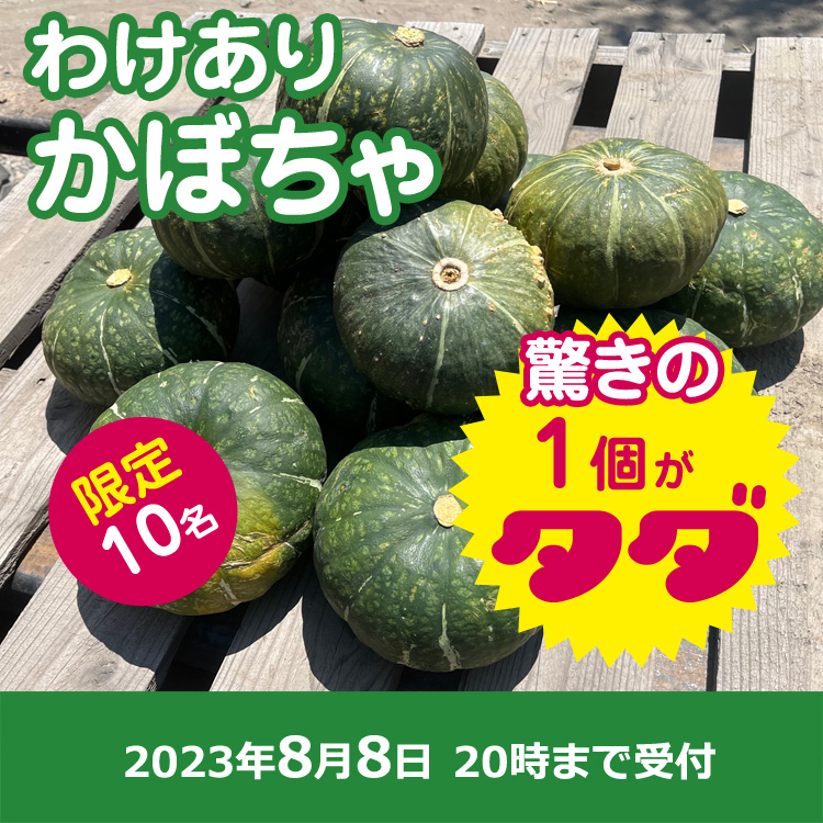 【プレゼント】わけあり かぼちゃ丸ごと1個