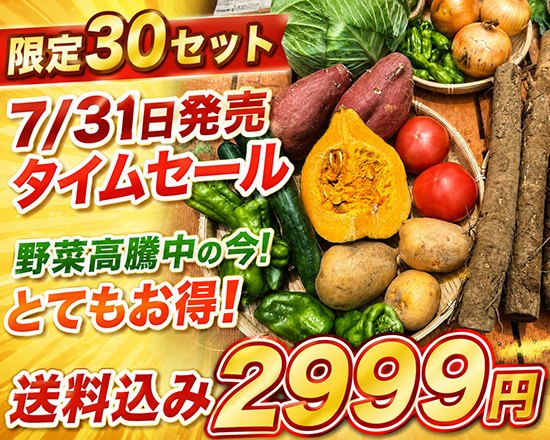【タイムセール】7/31訳アリ野菜2999円！（本州と四国の方）※送料込み※