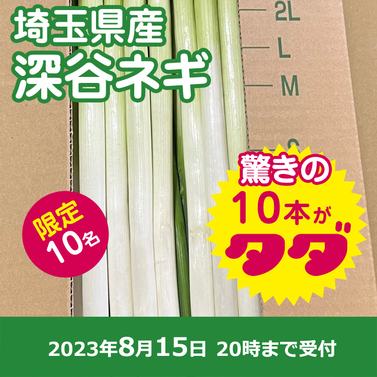 【プレゼント】埼玉県産 深谷ネギ10本