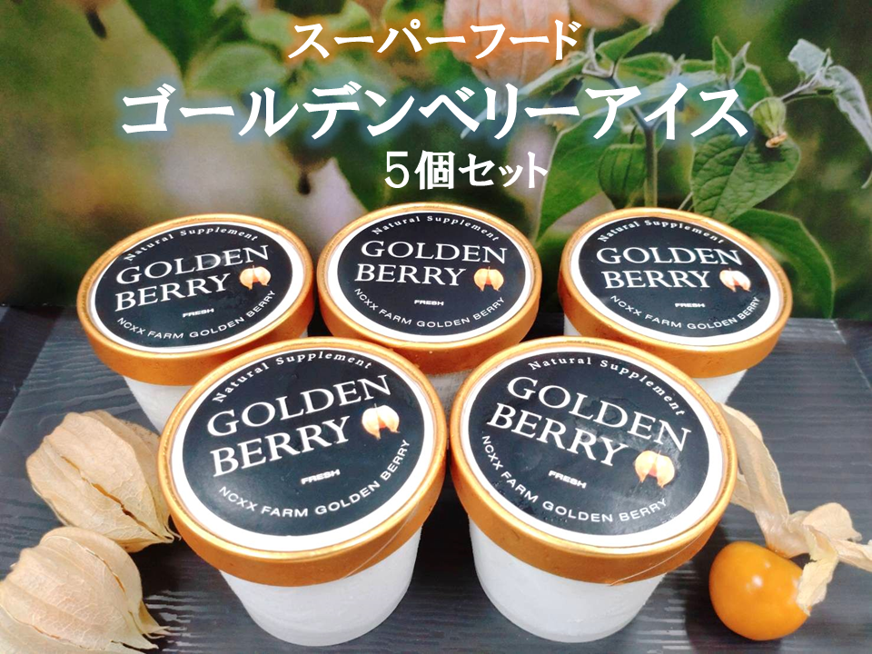 ゴールデンベリー(食用ほおずき) アイス 5個セット