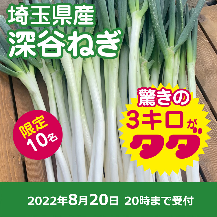 【プレゼント】深谷ねぎ
