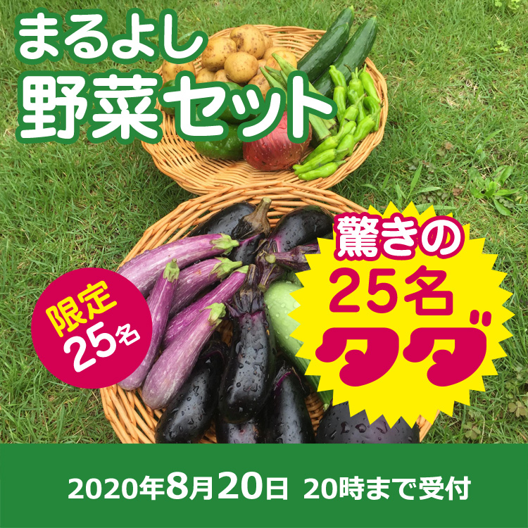 【朝採り&無農薬 「総社野菜 まるよし」様ご提供】野菜セット