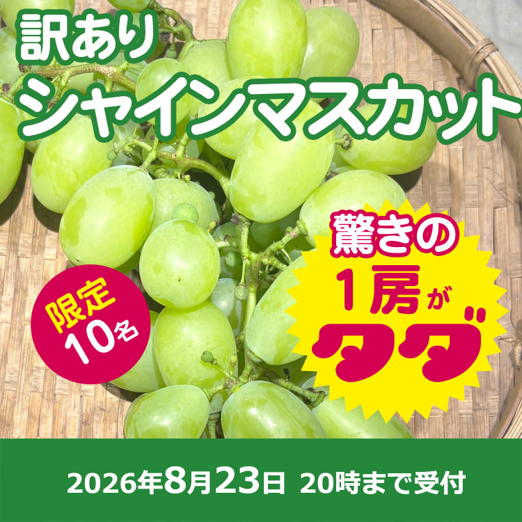 【プレゼント】訳ありシャインマスカット