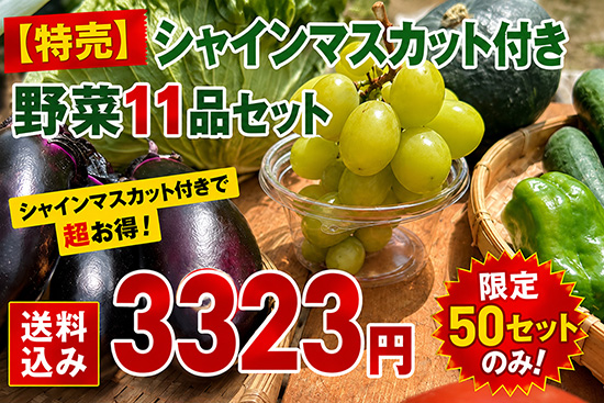 【特売】シャインマスカット付き野菜11品セット（北海道と九州の方）※送料込み※