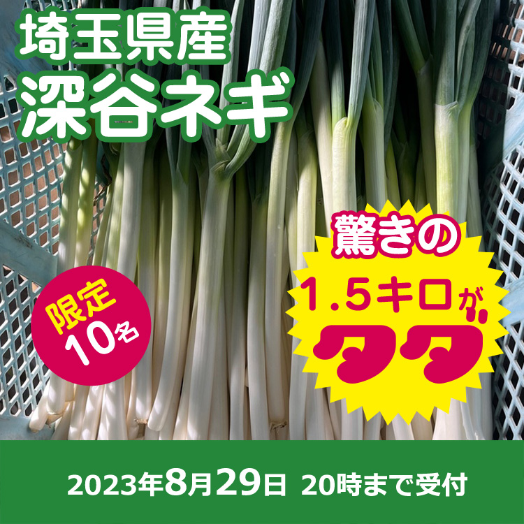 【プレゼント】深谷ねぎ1.5キロ