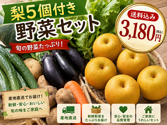 【梨5個付き】野菜5品セット（本州と四国の方）※送料込み※