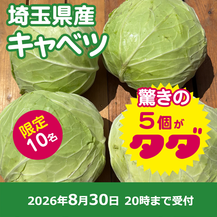 【プレゼント】訳ありキャベツ5個