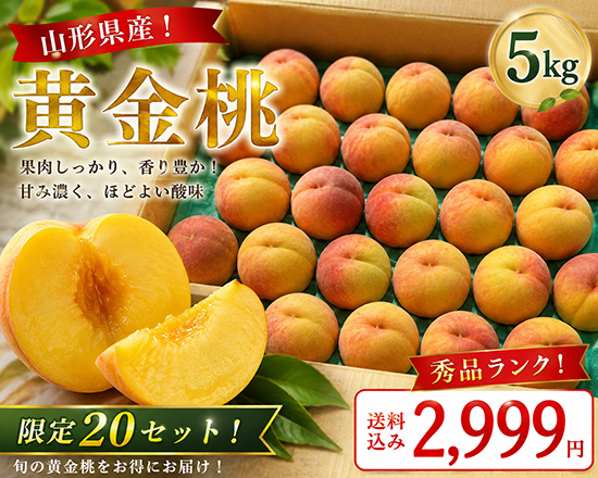 山形県産！黄金桃5㎏（本州と四国の方）※常温送料込み※