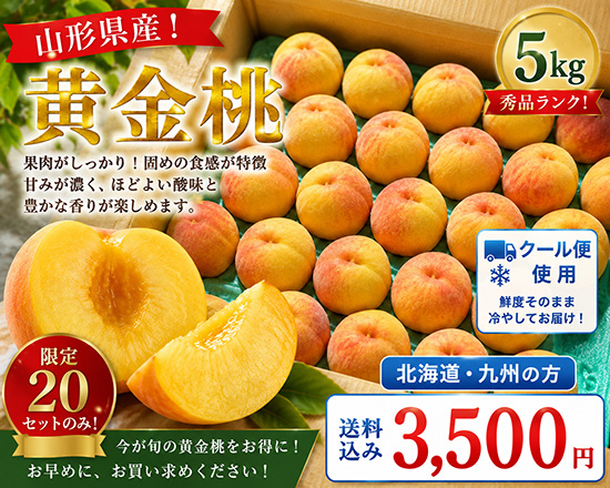 山形県産！黄金桃5㎏（北海道と九州の方）※クール送料込み※