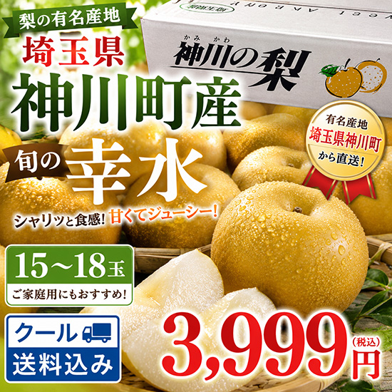 埼玉県産【梨】！幸水5㎏（本州と四国の方）※クール送料込み※