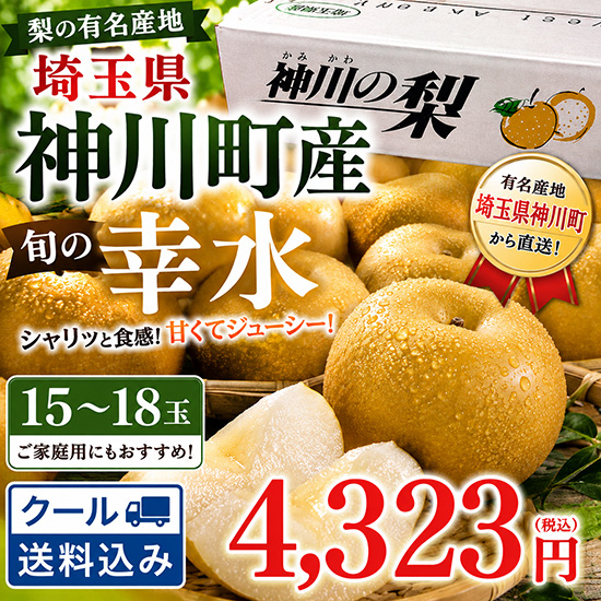 埼玉県産【梨】！幸水5㎏（北海道と九州の方）※クール送料込み※