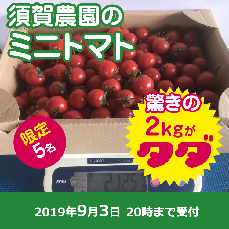 【須賀 農園ご提供】ミニトマト2キロ