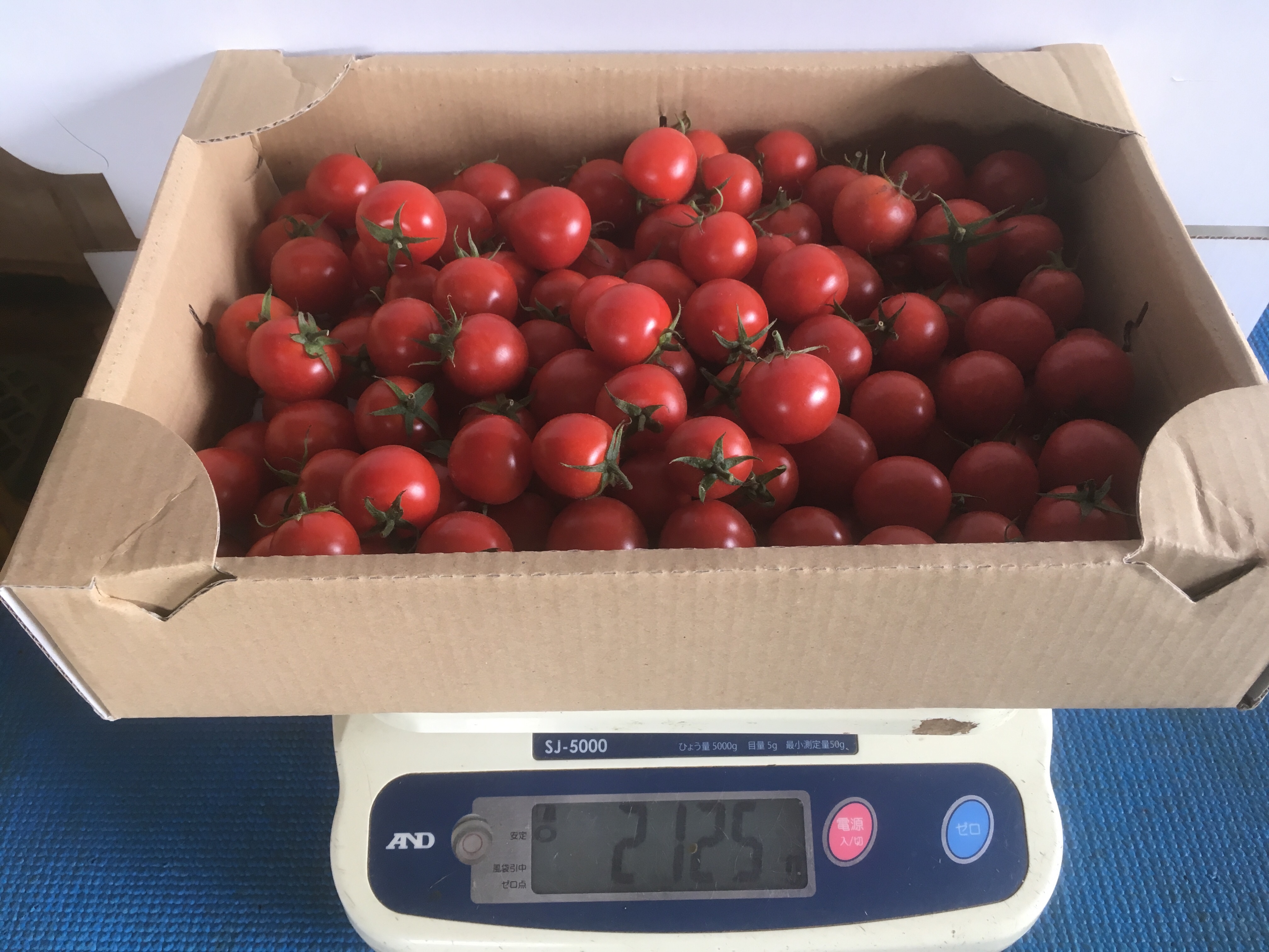 ミニトマト 2kg 九州・沖縄 限定