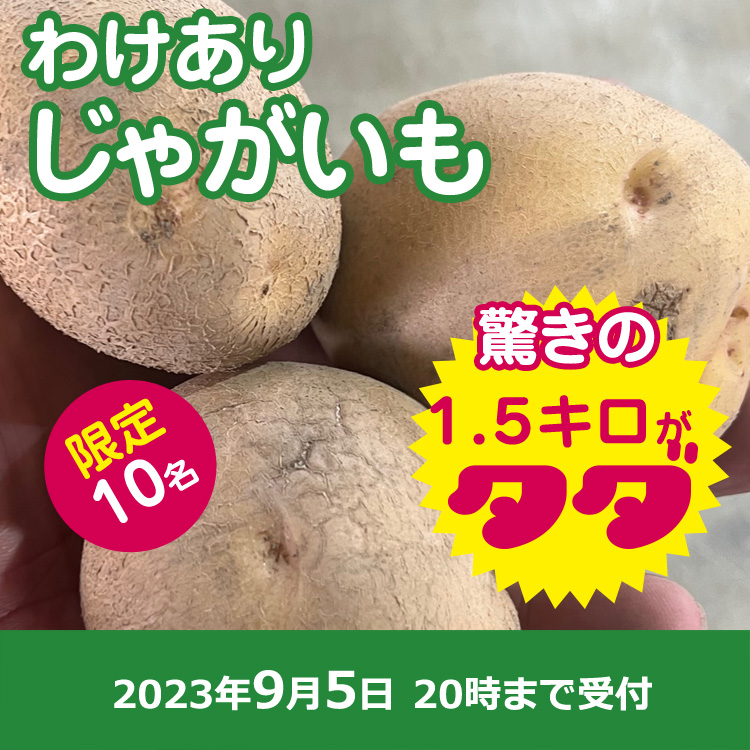 【プレゼント】わけありじゃがいも1.5キロ