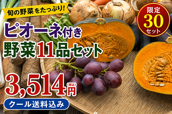 【ピオーネ付き】野菜11品セット※クール便※（北海道と九州の方）