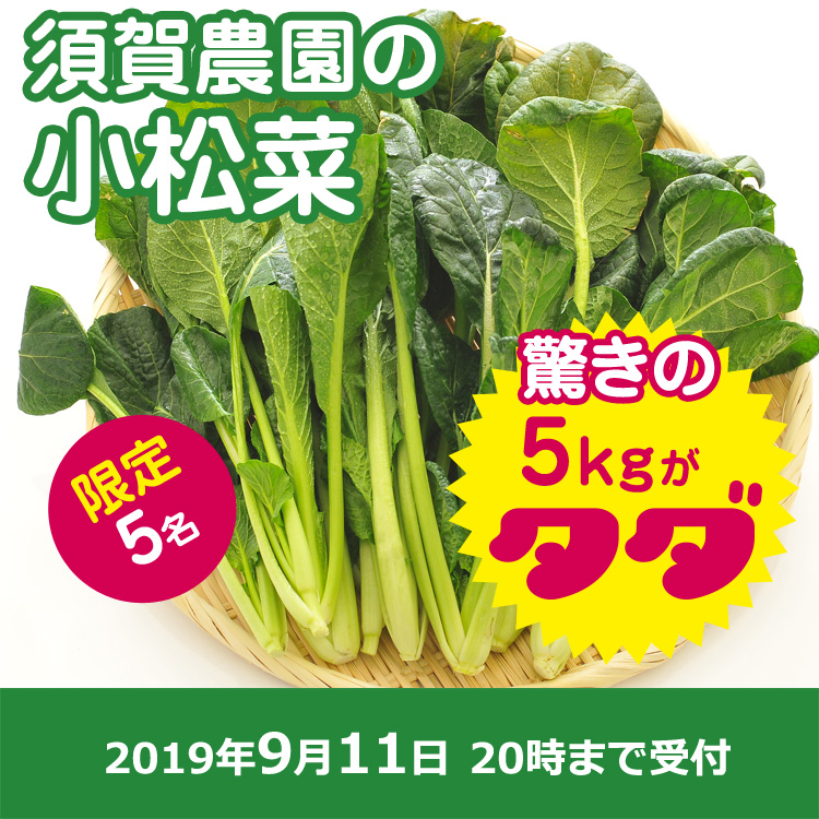 【須賀 農園ご提供】小松菜5キロ第二弾!!