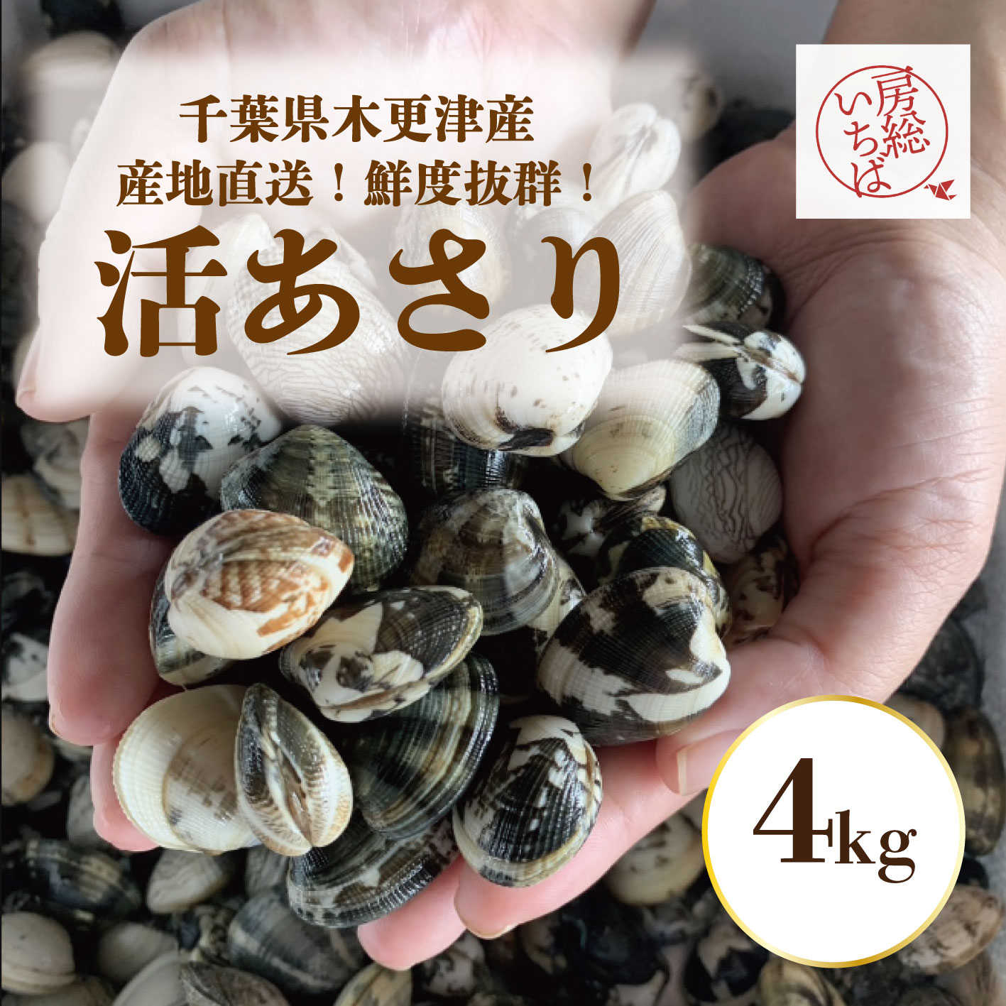 【活！木更津産！砂抜き済みアサリ！4㎏！鮮度抜群！産地直送！】産直
