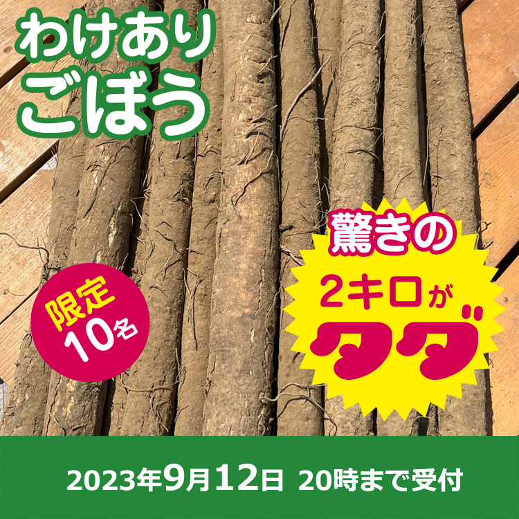 【プレゼント】わけありゴボウ2キロ