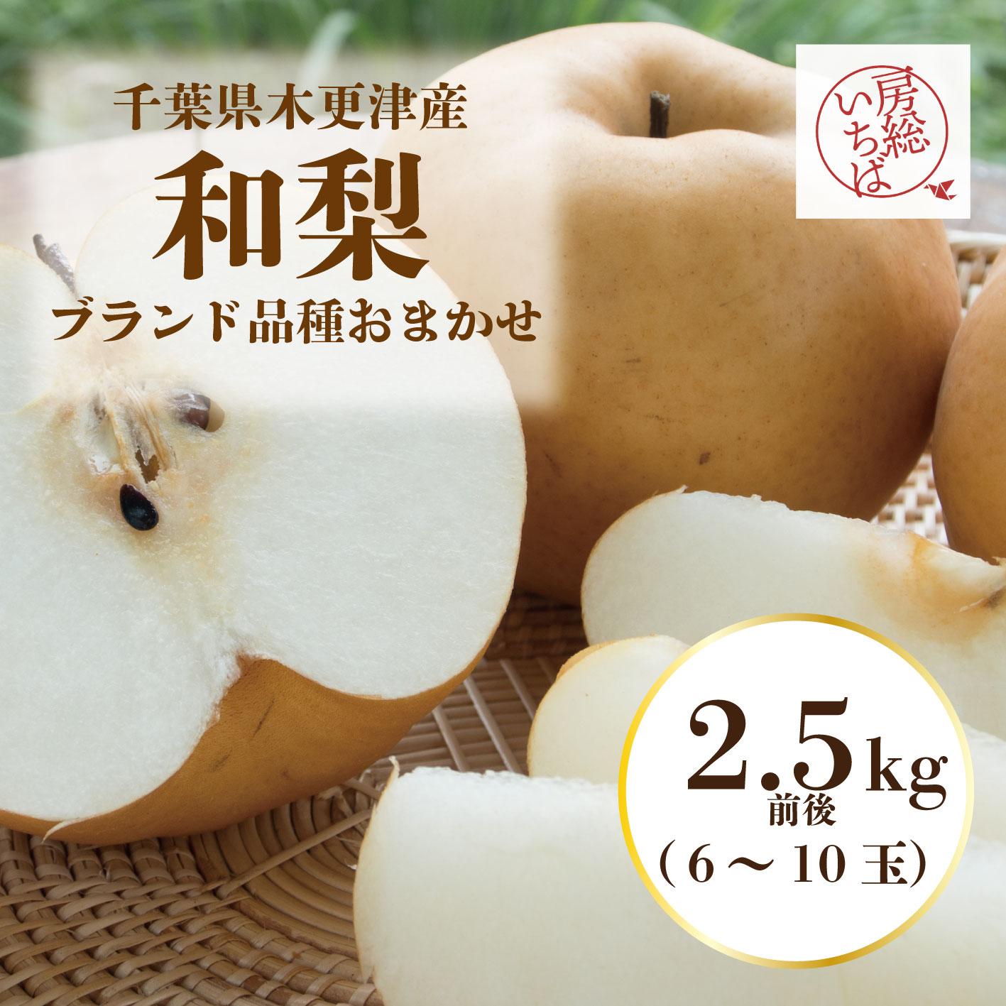 【房総から梨が届きました!その時の食べるべき品種でお送りいたします!】道の駅 直売所 産直商品