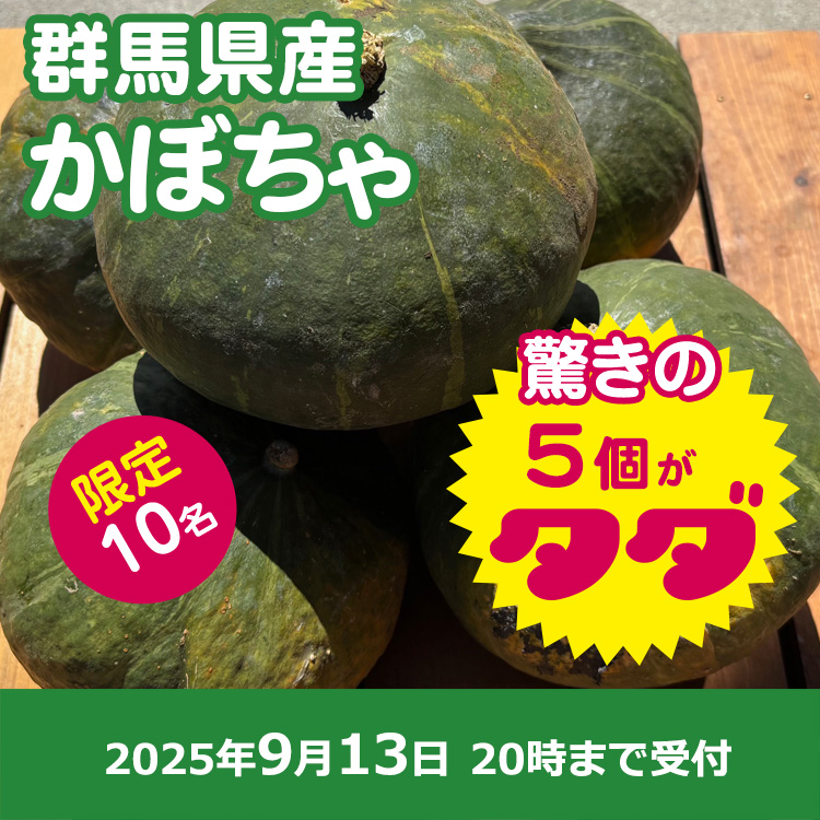 【プレゼント】かぼちゃ5個
