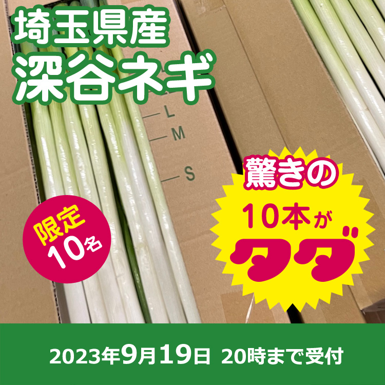【プレゼント】深谷ネギ10本